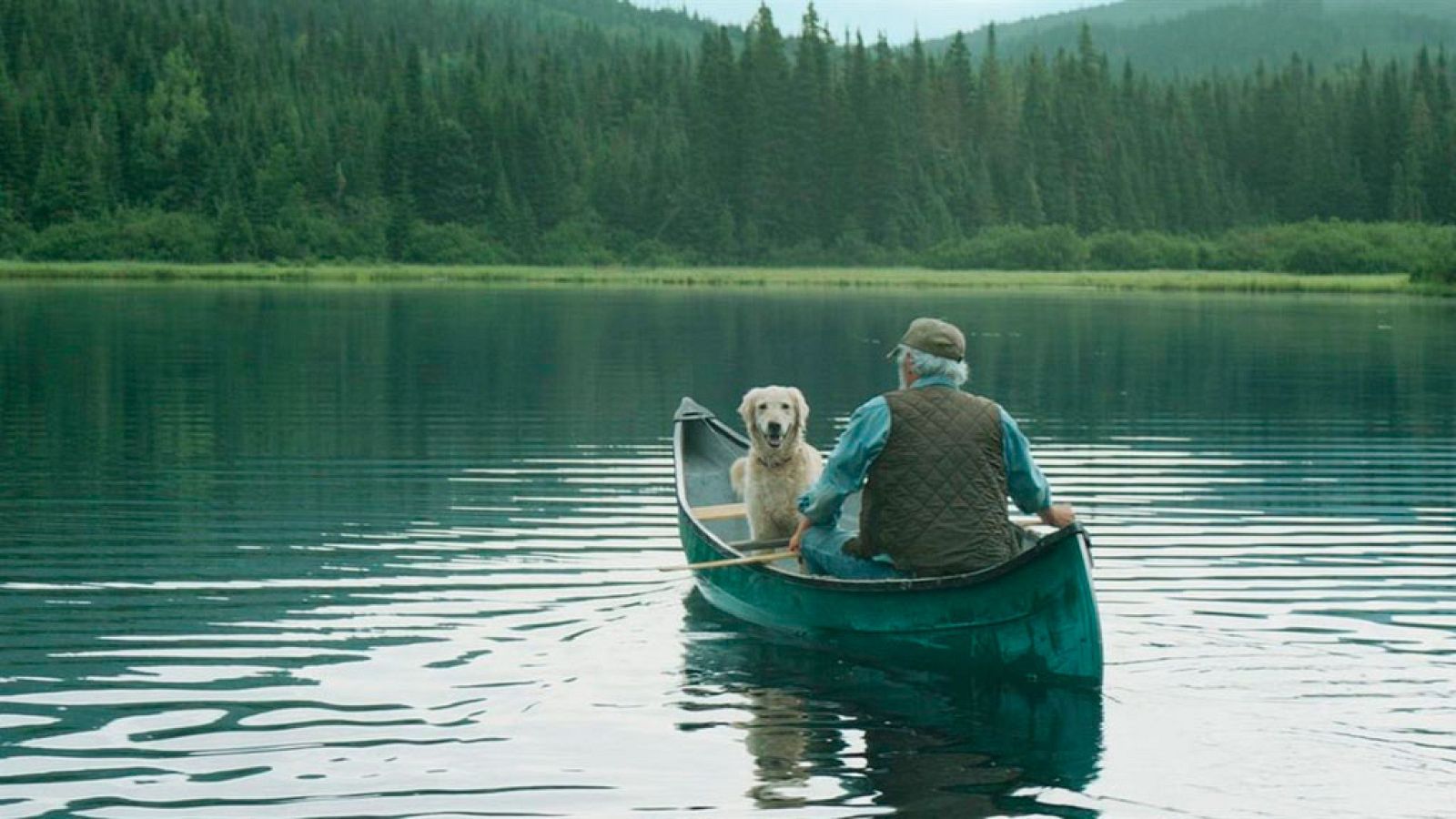 'Y llovieron pájaros'