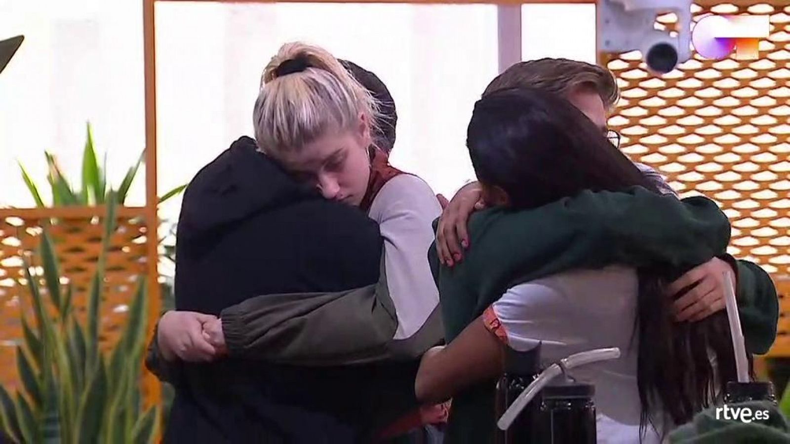 La reacción de los chicos tras saber que se suspende OT 2020 ha sido un drama: "No quiero ir a mi casa"