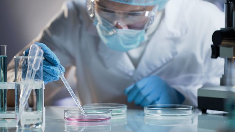 El Centro Nacional de Biotecnología (CNB) trabaja a contrarreloj para encontrar soluciones eficaces que frenen el nuevo coronavirus y centra sus investigaciones en tres "aproximaciones experimentales": el desarrollo de antivirales; la búsqueda de ant