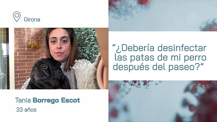 LAB RTVE - ¿Debería desinfectar las patas de mi perro después del paseo?