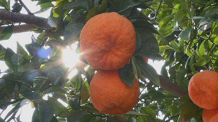 Aquí la Tierra - Aquí la Tierra - 19/03/20