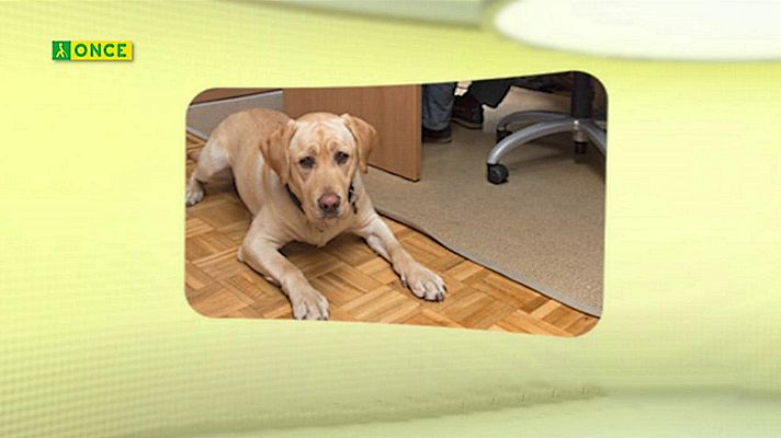 Sorteos ONCE - ONCE - 19/03/20