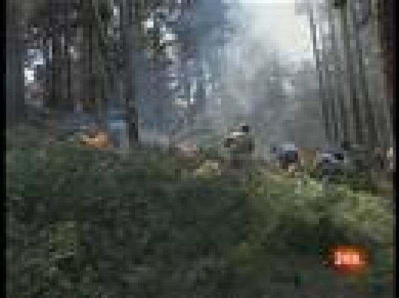El incendio del Valle del Tiétar está cercado aunque sigue activo 