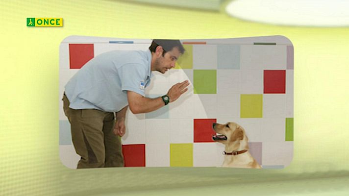 Sorteos ONCE - ONCE - 21/03/20