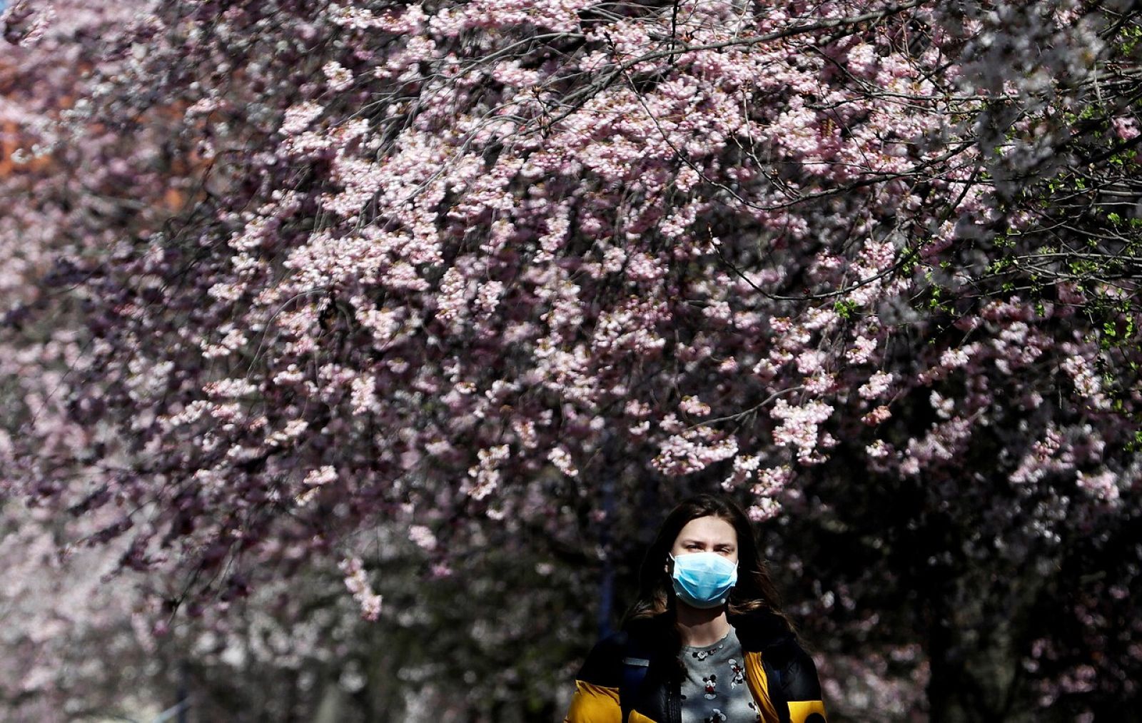 La pérdida del gusto y el olfato, posibles causas del coronavirus - RTVE.es | Ver