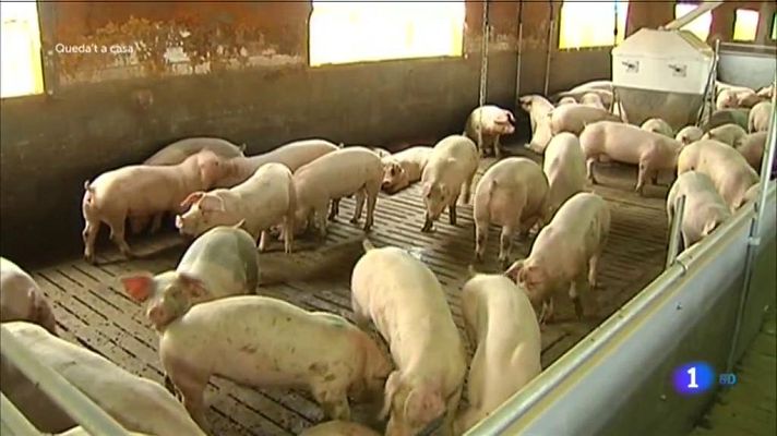 L'Informatiu - L'Informatiu - 24/03/20202