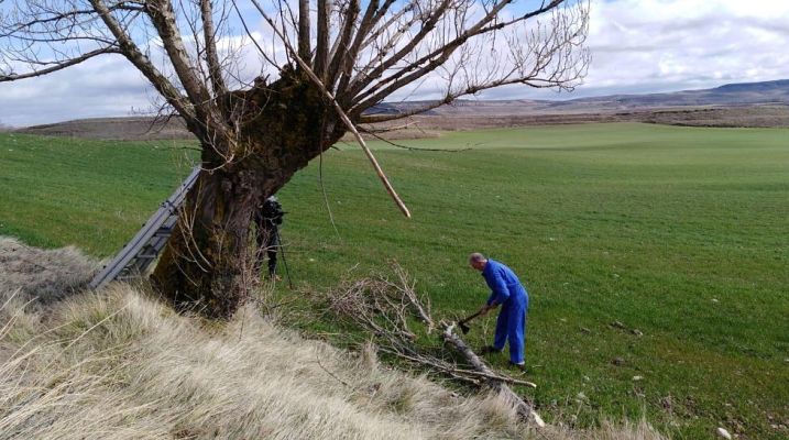 Aquí la Tierra - Aquí la Tierra - 25/03/20