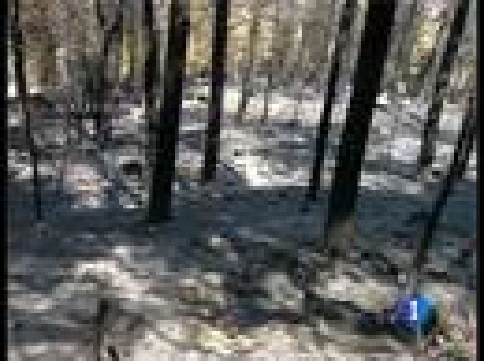 El incendio de Ávila no está controlado todavía | Ver