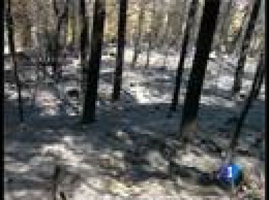  - Sigue activo el incendio de Ávila