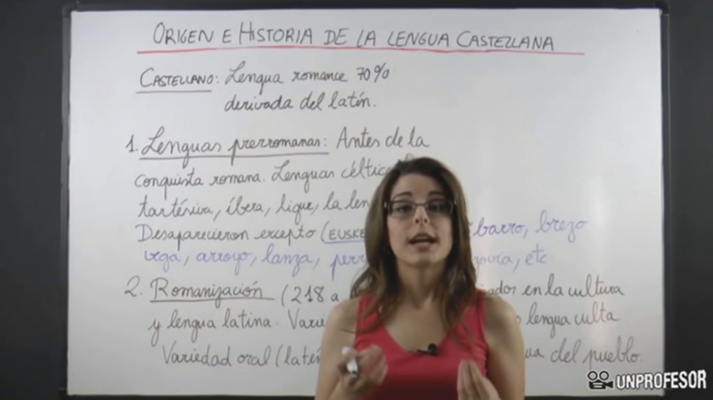 14/16 -  Lengua e idiomas: Lengua castellana y literatura