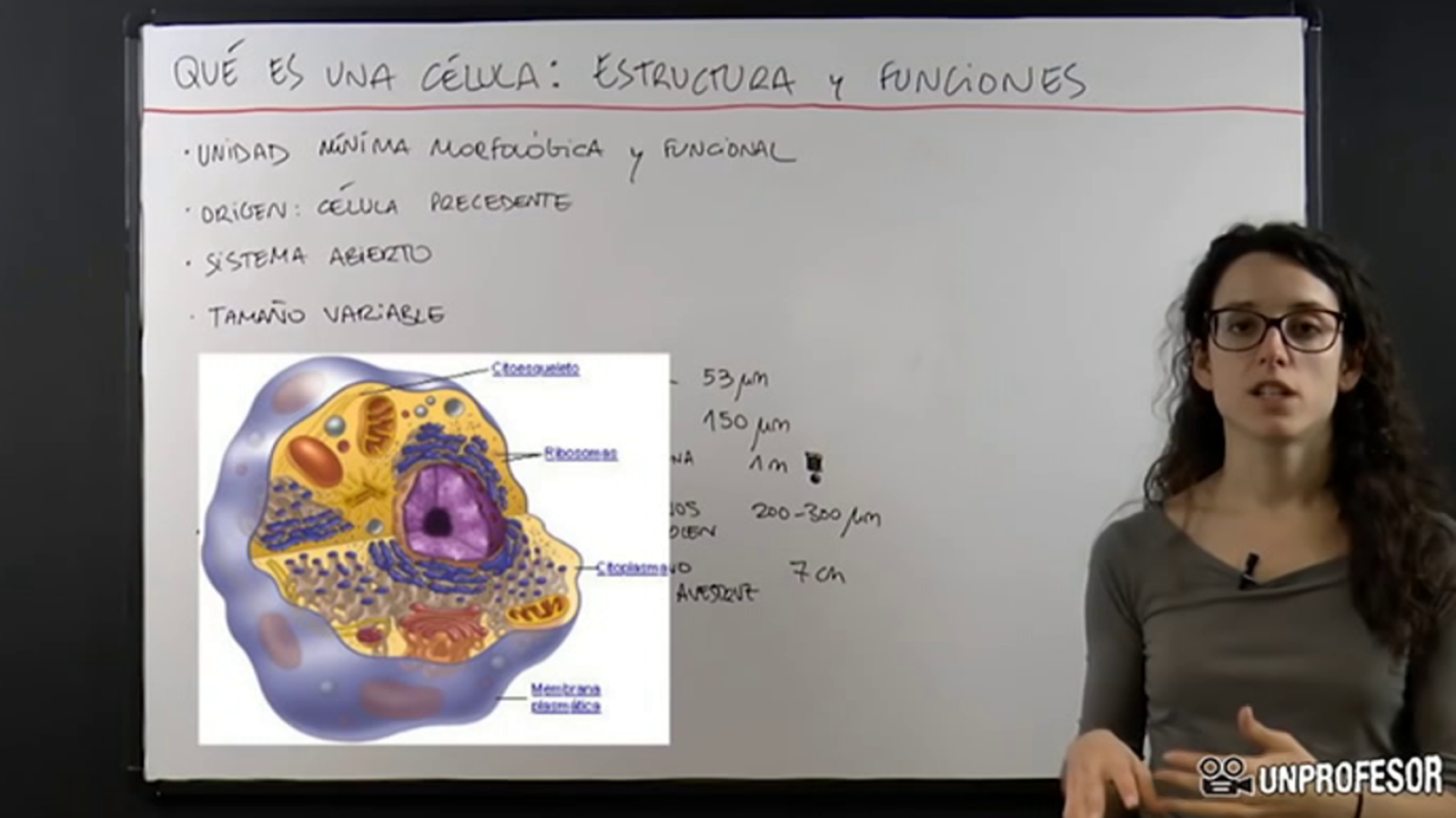 Aprendemos en casa - De 14 a 16 años - Ciencias Naturales: Genética - ver ahora