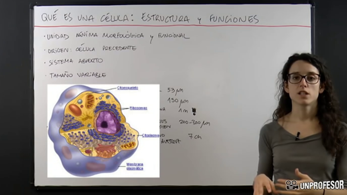 Aprendemos en casa - 14/16 - Ciencias Naturales: Genética