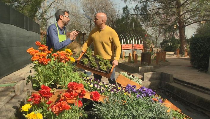 Cómo tener un jardín portátil y "reciclado"