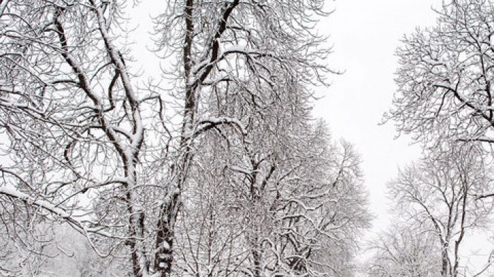 El tiempo - El riesgo por nevadas afectará a cinco provincias del sureste