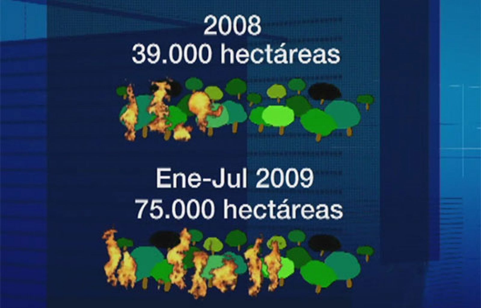 En lo que va de año han ardido unas 75.000 hectáreas de bosque