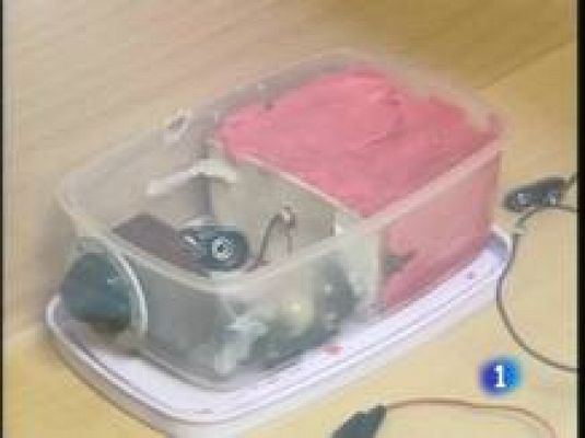  - Investigando el atentado de Calvià