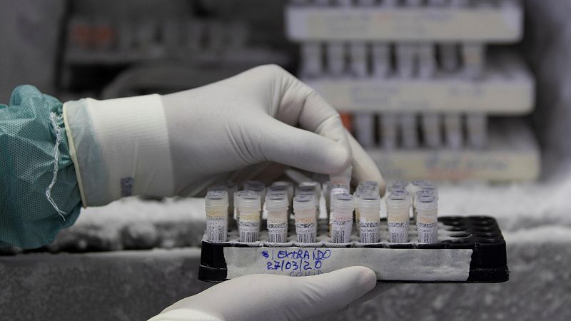 En varios hospitales están haciendo ensayos clínicos para buscar fármacos eficaces contra el coronavirus. El Hospital clínico San Carlos de Madrid es el primero de España y el segundo del mundo en participar en "Solidarity", un ensayo clinico global