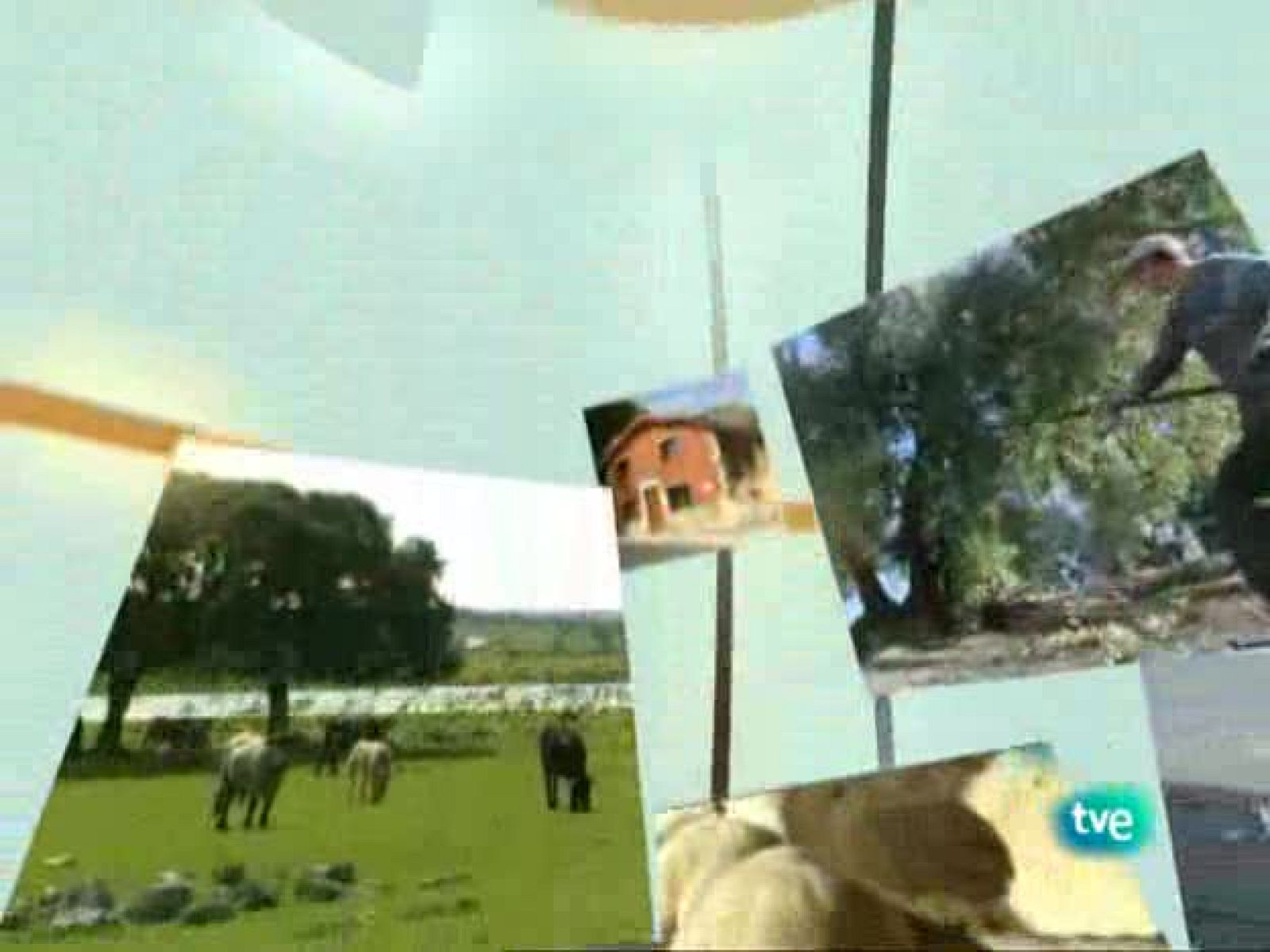 Agrosfera - 01/08/09 - Agrosfera | Ver