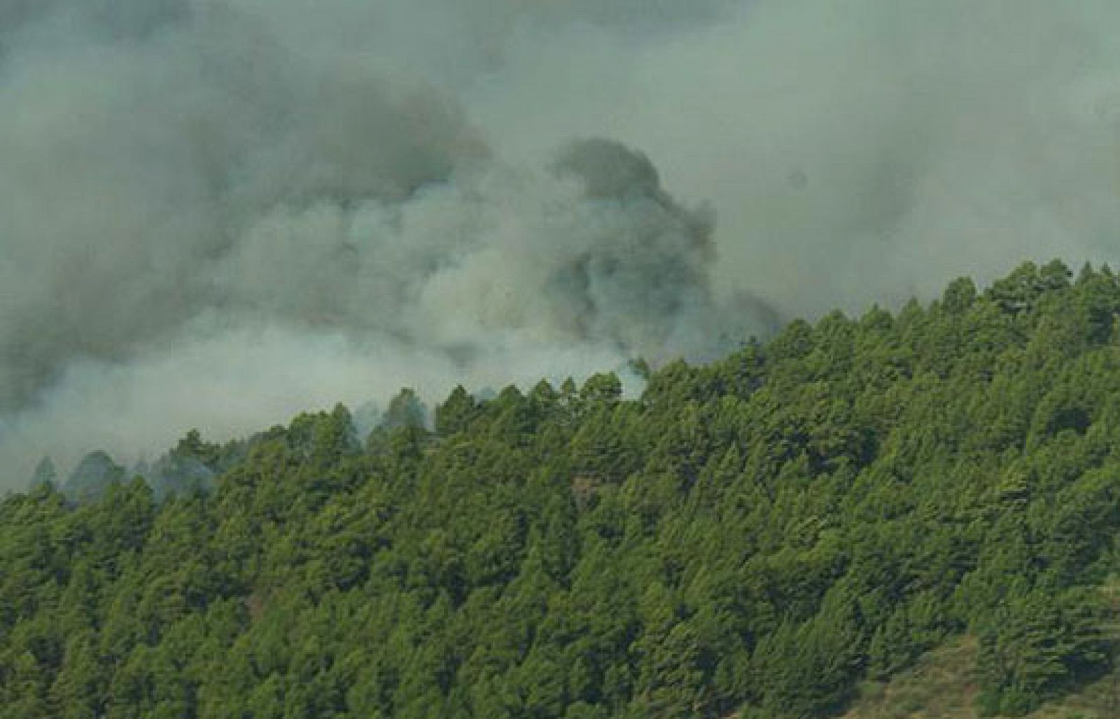 Un incendio en La Palma obliga a desalojar a cuatro mil personas