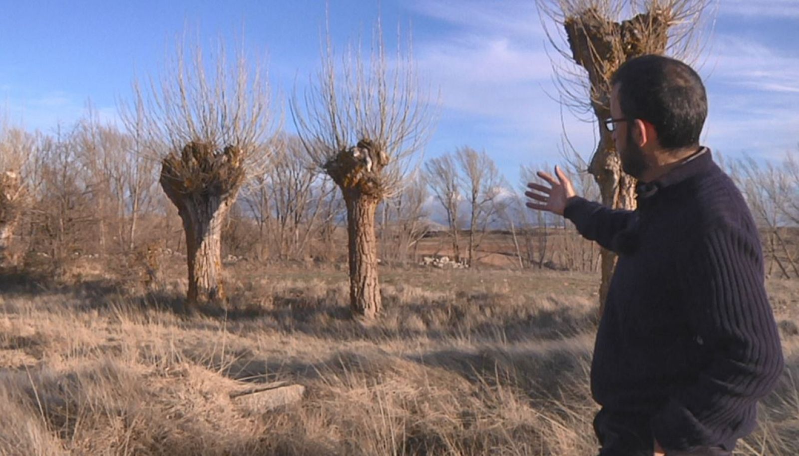 Dónde encontrar el paisaje del Chopo cabecero