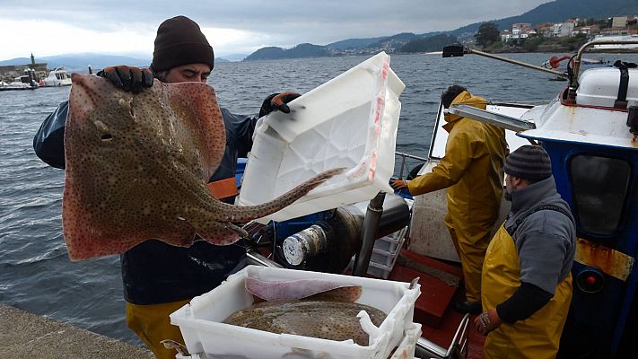 Telediario 1 - La afiliación a la Seguridad Social sufre el mayor desplome de su historia con 834.000 empleos menos por el coronavirus