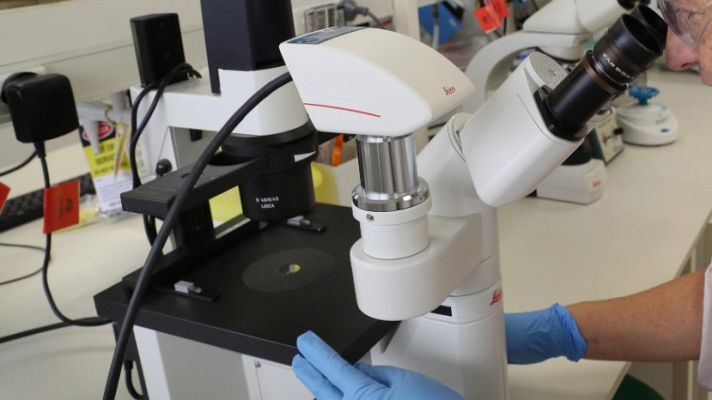 Especiales informativos - Científicos españoles trabajan en varias líneas de investigación para encontrar una vacuna