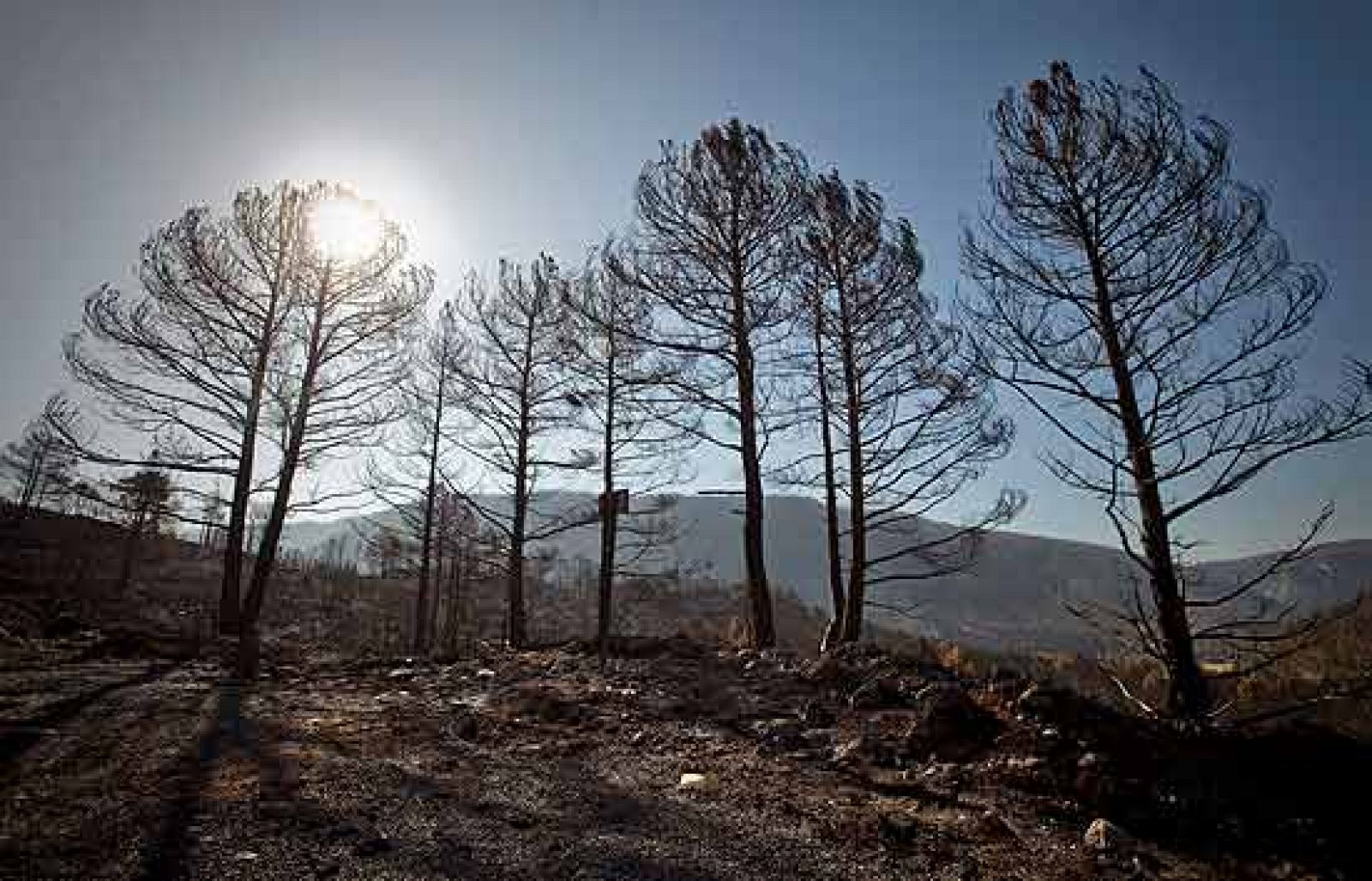 Informe Semanal ha estado en Teruel y reflexiona con los expertos sobre qué falla en la prevención de los incendios y lo que se pierde cuando el monte se quema.