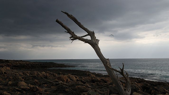 Cielo poco nuboso o despejado y chubascos en Baleares