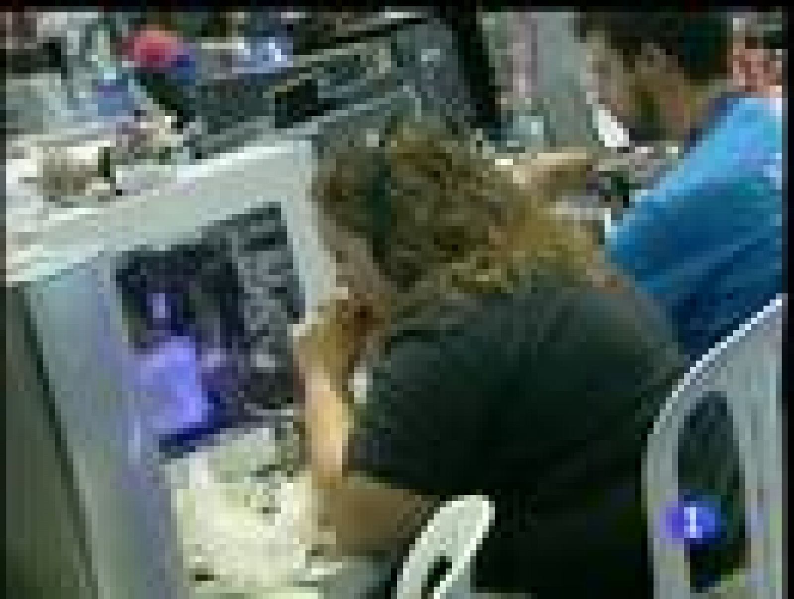 Sin programa: La Campus Party echa el cierre | RTVE Play