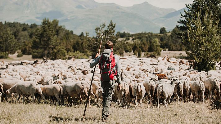 Entre ovejas - Programa 1: Mariló / Melanie