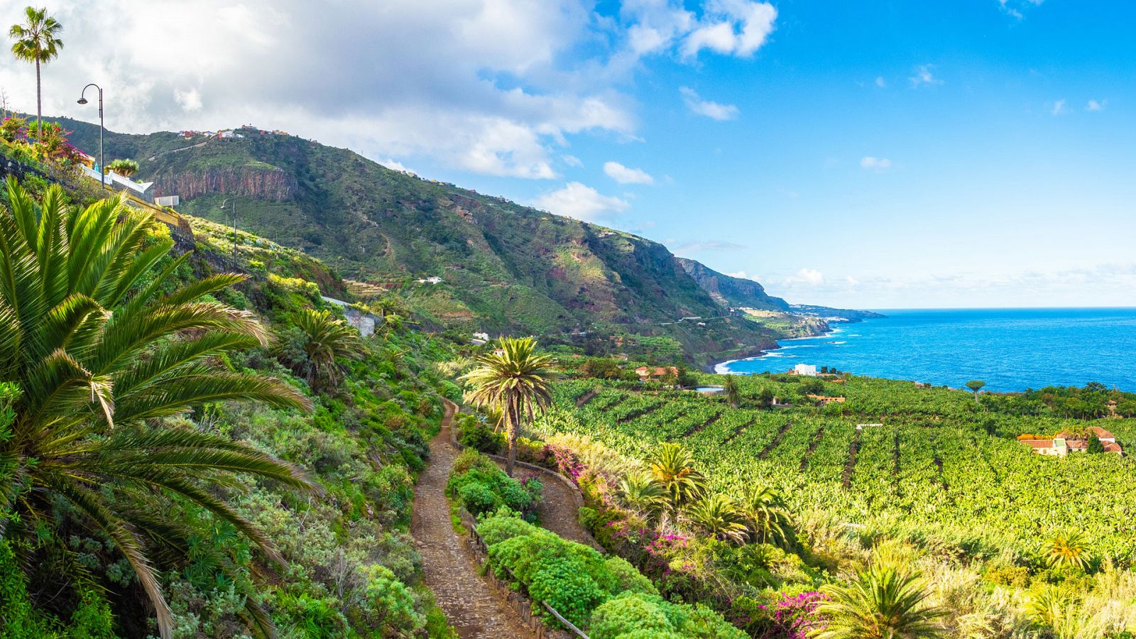 Un país mágico - Tenerife - RTVE.es