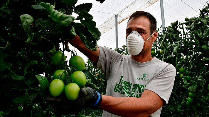 Modo Digital - El Gobierno aprueba un decreto para incorporar a parados y migrantes al campo