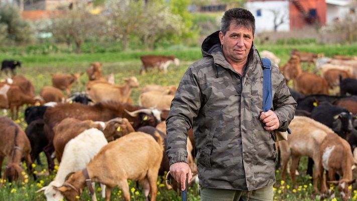 Telediario 1 - Los ganaderos acusan el cierre de la restauración, la hostelería y el turismo