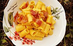Aquí la Tierra - Receta de pasta carbonara para hacer en casa