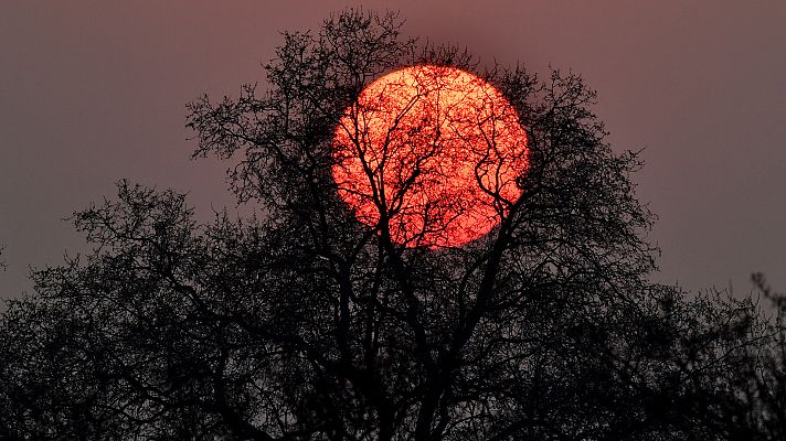 Las temperaturas diurnas suben en Canarias y en la mayor parte de la Península