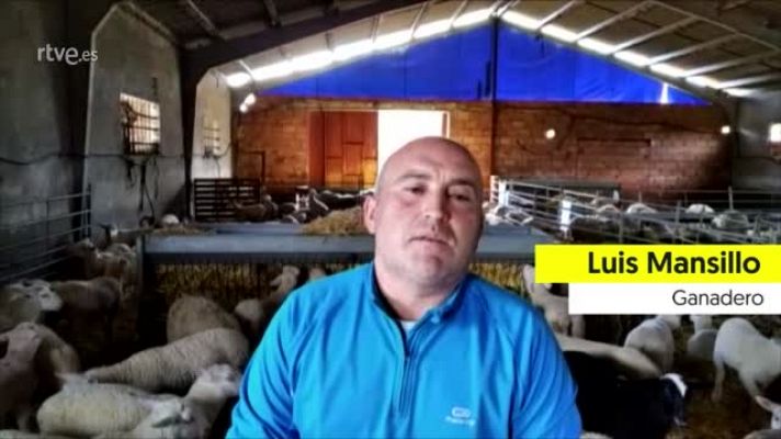 Especial Coronavirus - Luis Mansillo, ganadero: "El sector pasa por una crisis profunda"