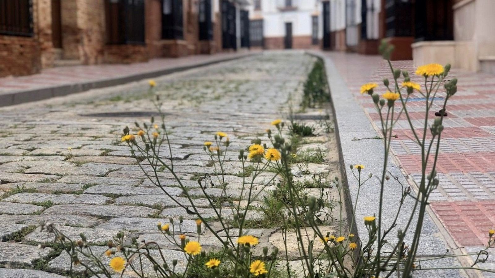 Diario de un confinamiento: en la calle de la fe