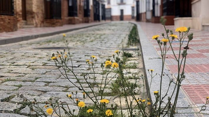 Especial Coronavirus - Diario de un confinamiento: en la calle de la Fe