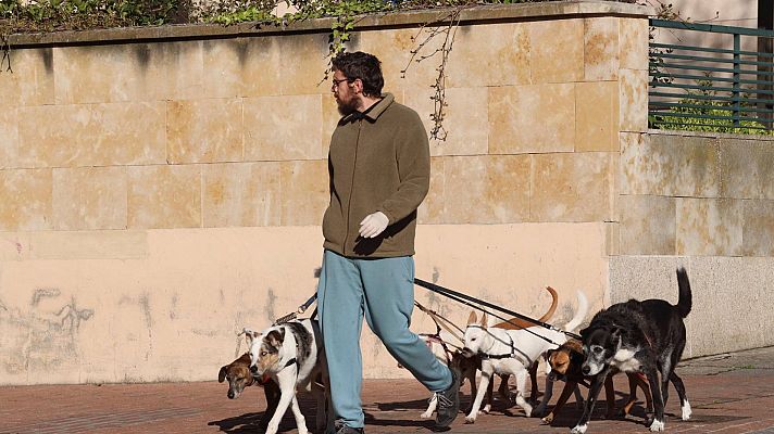 Mascotas: la mejor compañía durante el confinamiento