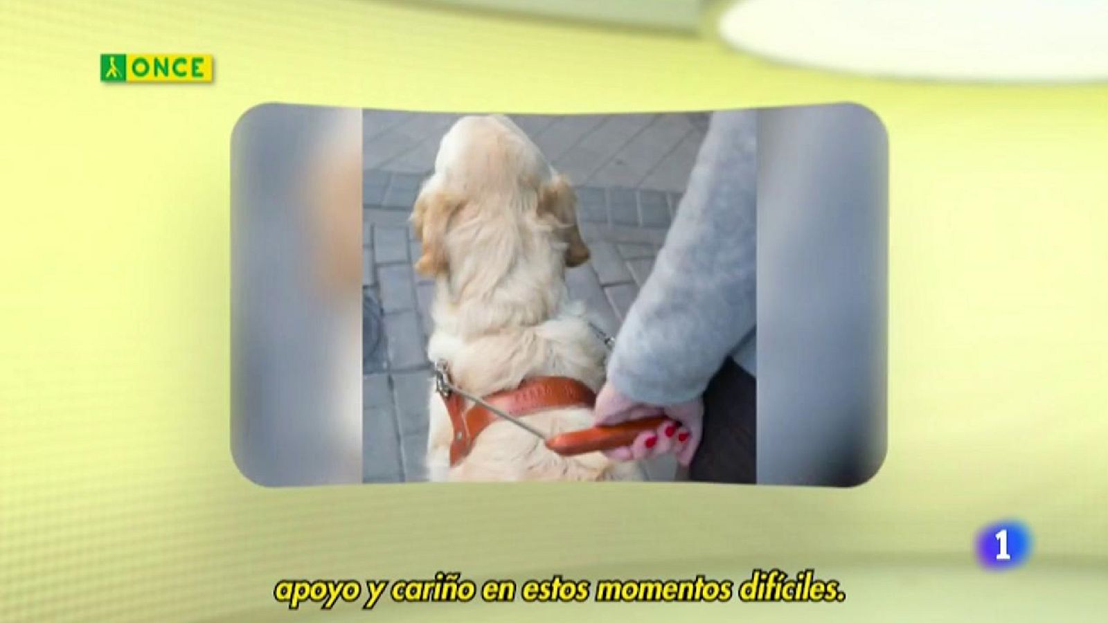 ONCE - 12/04/20 - ver ahora