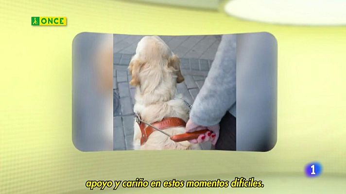 Sorteos ONCE - ONCE - 12/04/20