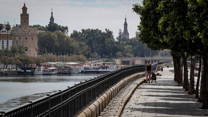 Noticias Andalucía - Cocineros sevillanos elaboran 1.600 menús solidarios al día