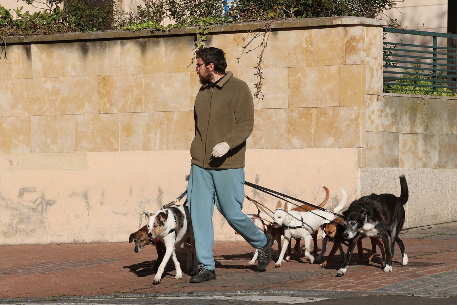 Diario de un confinamiento: la soledad redundante, la soledad al cuadrado -RTVE.es | Ver