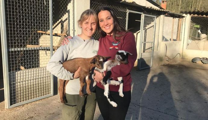 Aquí la Tierra - ¿Cuánto dura el embarazo de una vaca, una cabra o una burra?