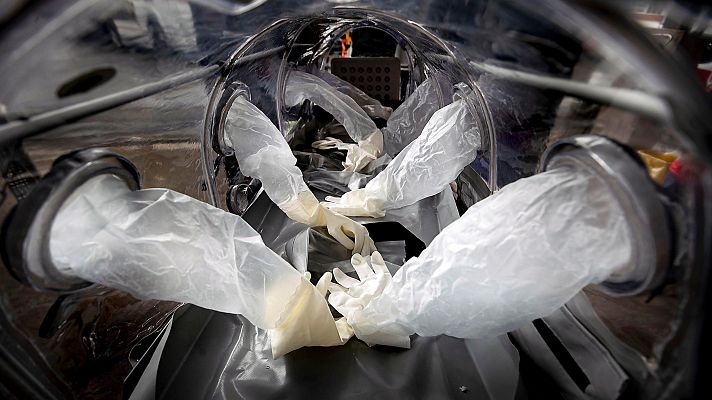 Telediario 1 - Luis Enjuanes (CSIC): los curados de coronavirus tienen inmunidad, aunque no parece "muy fuerte"