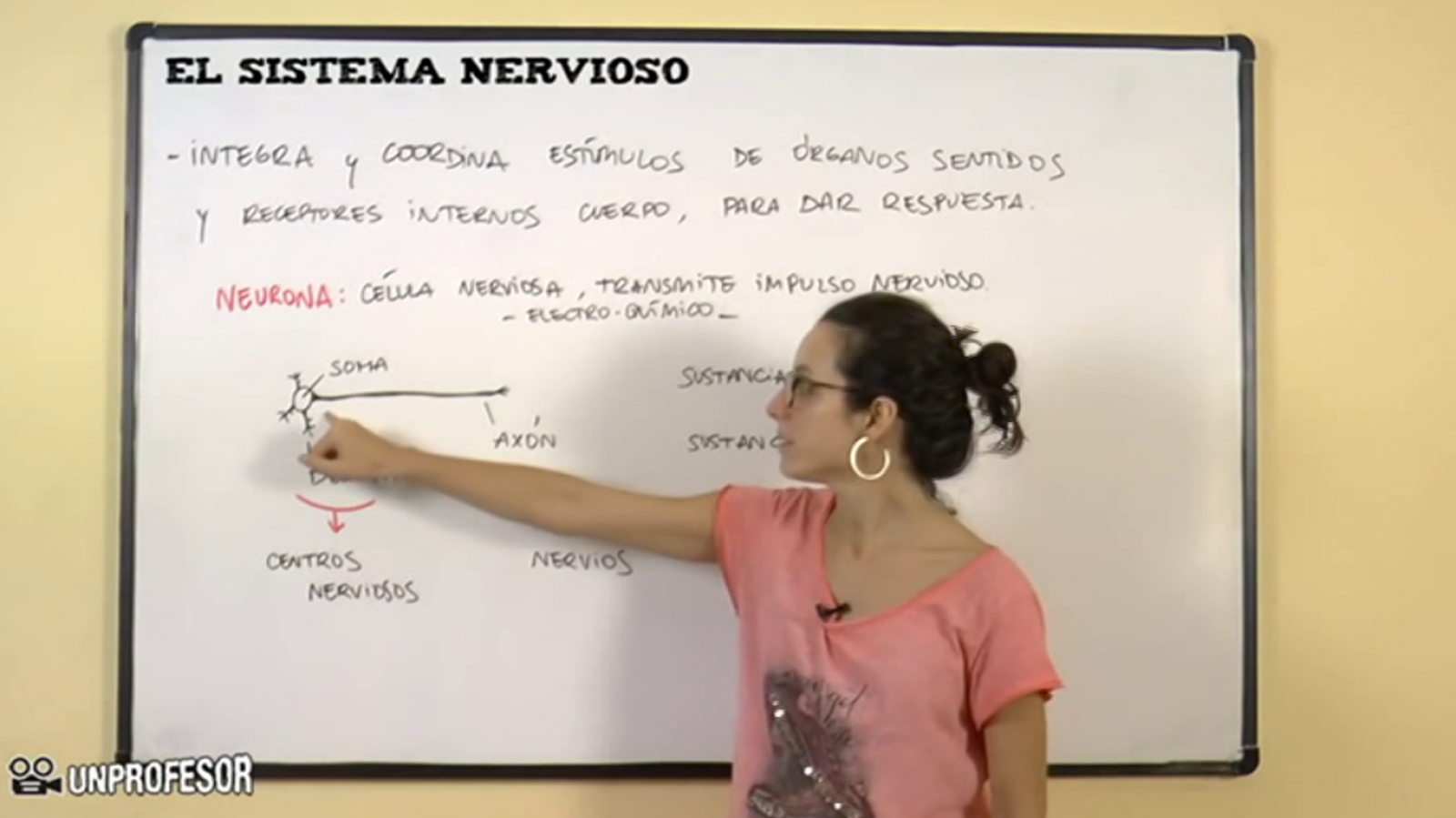 Aprendemos en casa - De 14 a 16 años - Ciencias Naturales: Cuerpo Humano y Medio Ambiente - ver ahora