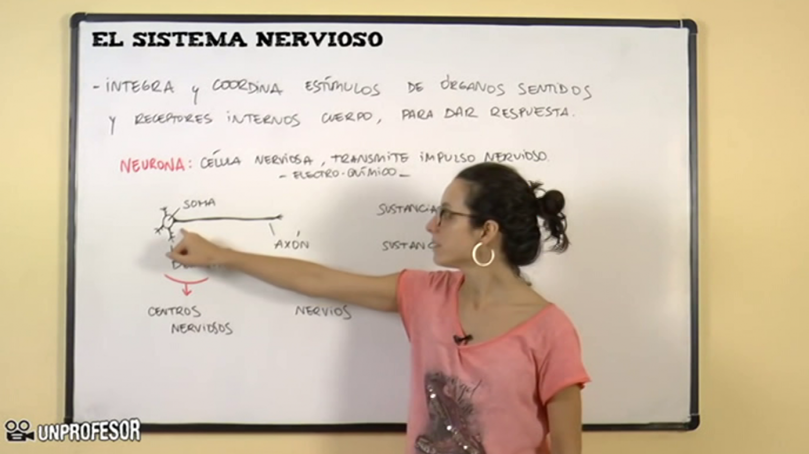 Aprendemos en casa - De 14 a 16 años - Ciencias Naturales: Cuerpo Humano y Medio Ambiente - RTVE.es