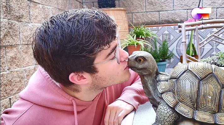 OT 2020 - Gèrard canta "Happy Together"