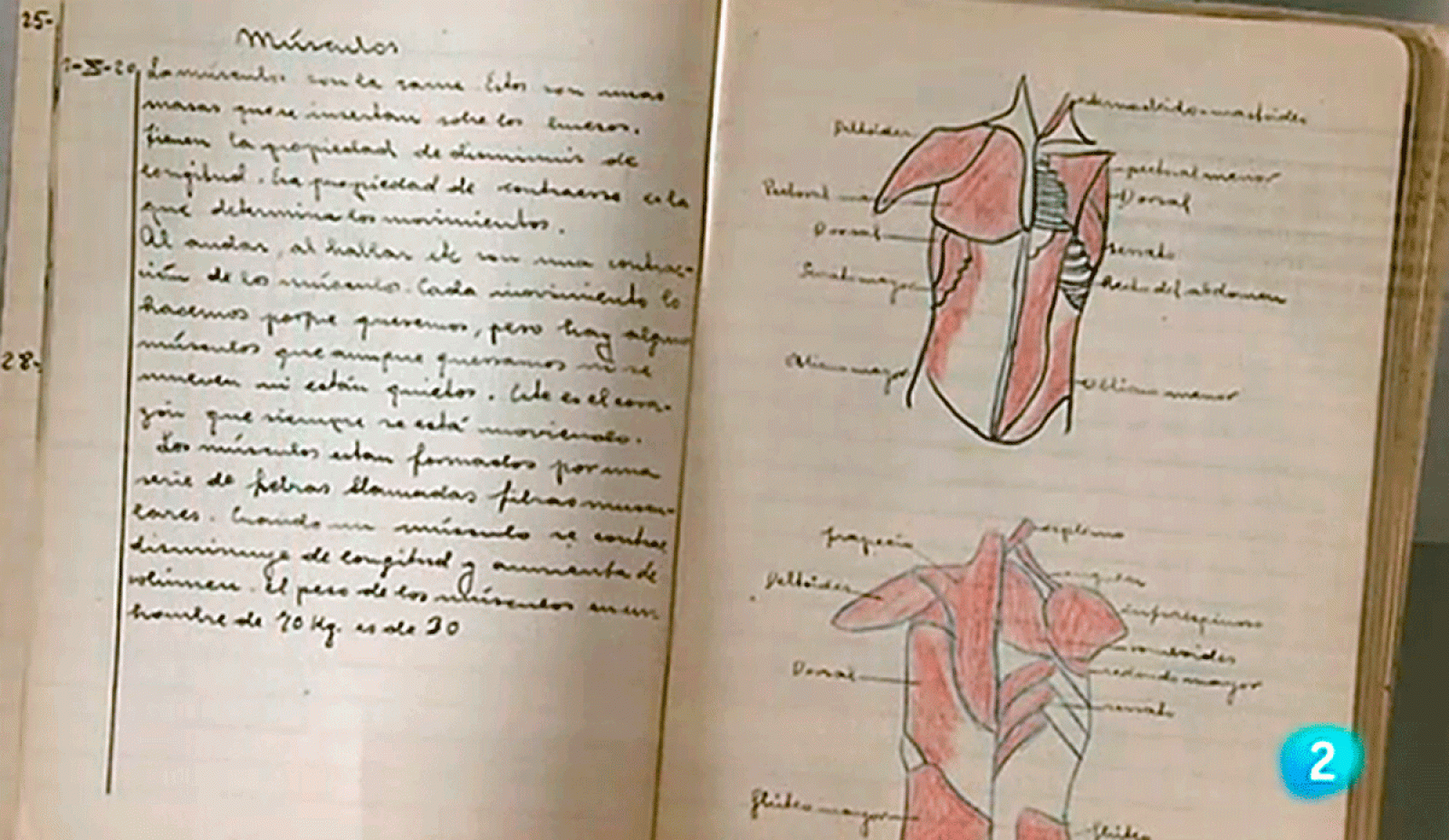 Visitamos la exposición de la Fundación Giner de los Ríos, que presenta la filosofía, la metodología y el legado de la Institución Libre de Enseñanza,