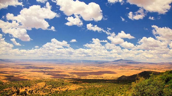 Documenta2 - La fuerza de la vida: la falla albertina